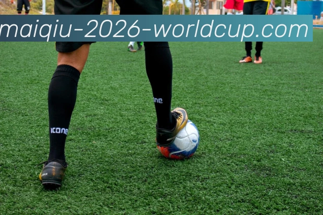 世界杯买球网站平台生态图