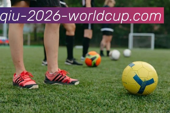 世界杯买球网站APP 封面图